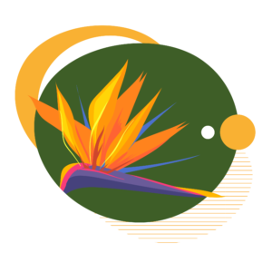 Feed Cluster-05